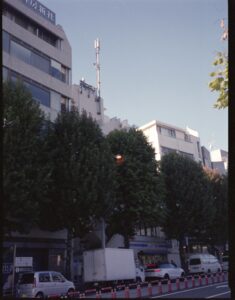 街路樹と建物、青空が見える街の風景